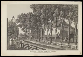 H Beard Print Collection, by James Whittle, 23