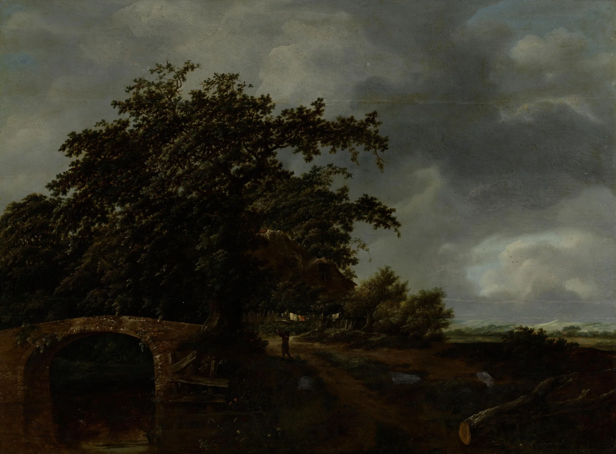 Cabin under high oaks, detail