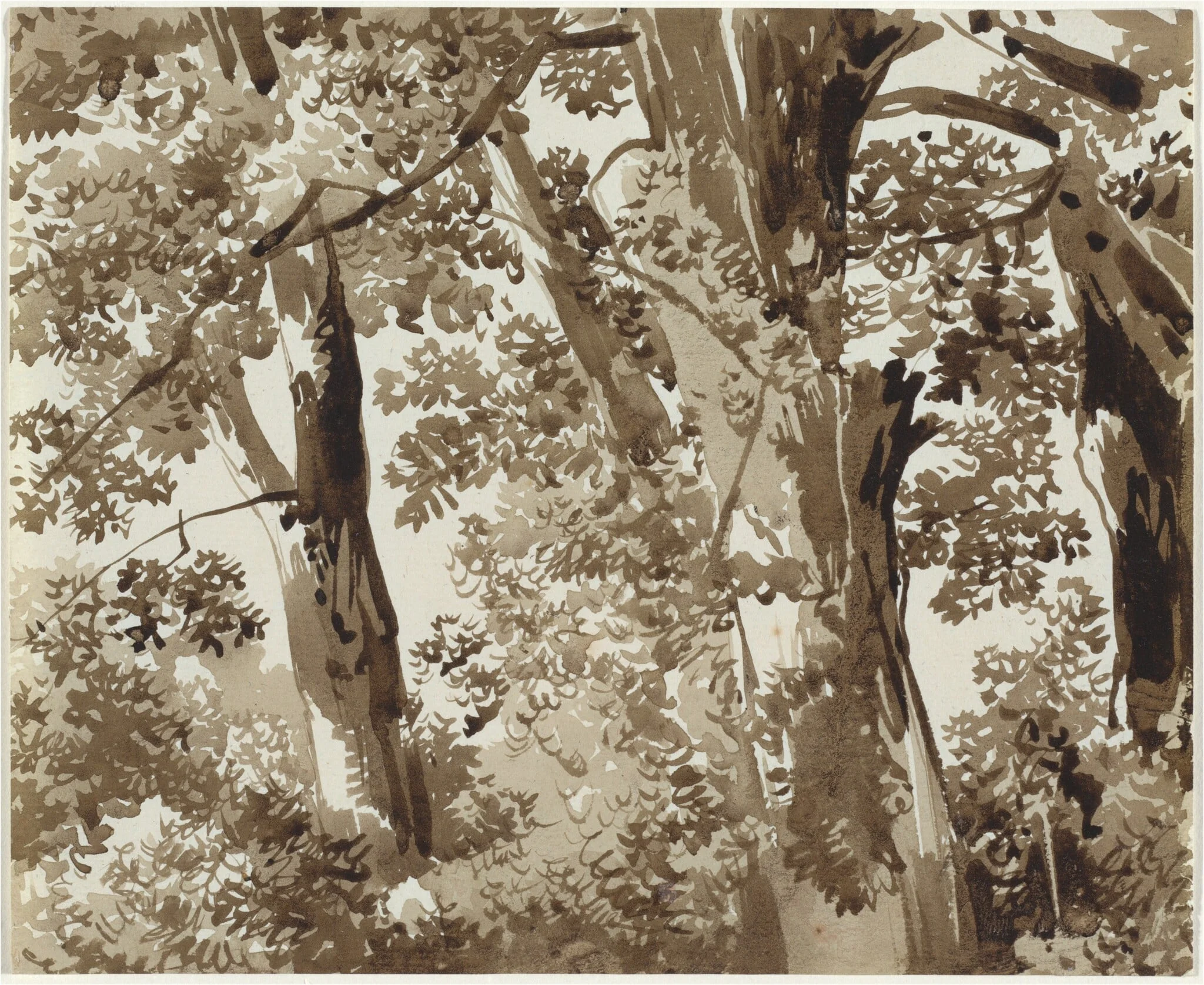 Trees with Dense Undergrowth, detail