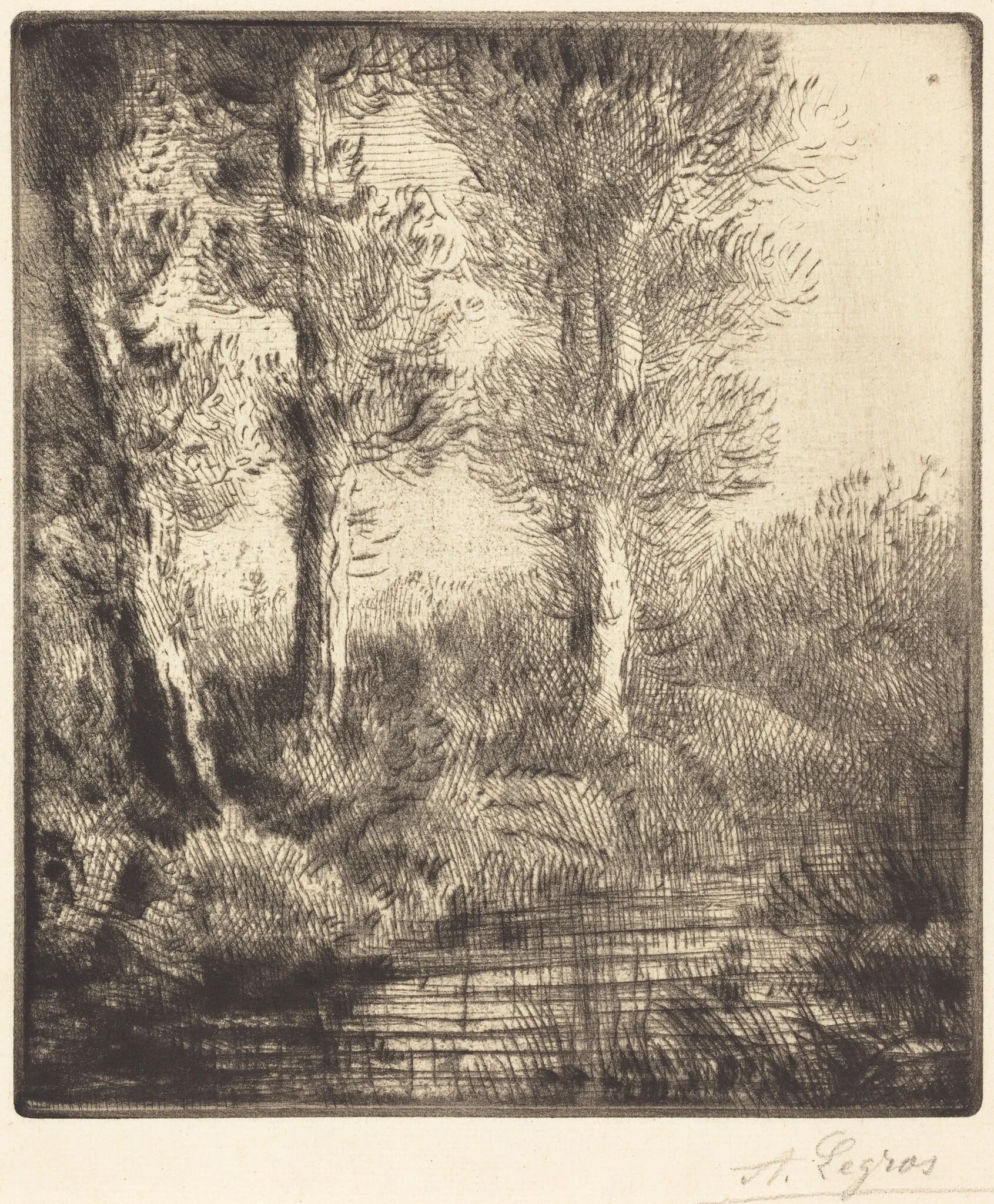 Banks of the Saint-Pre (Rive du Saint-Pre), detail