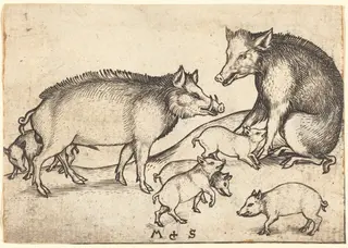 Family of Pigs, by Martin Schongauer, ink, 1485