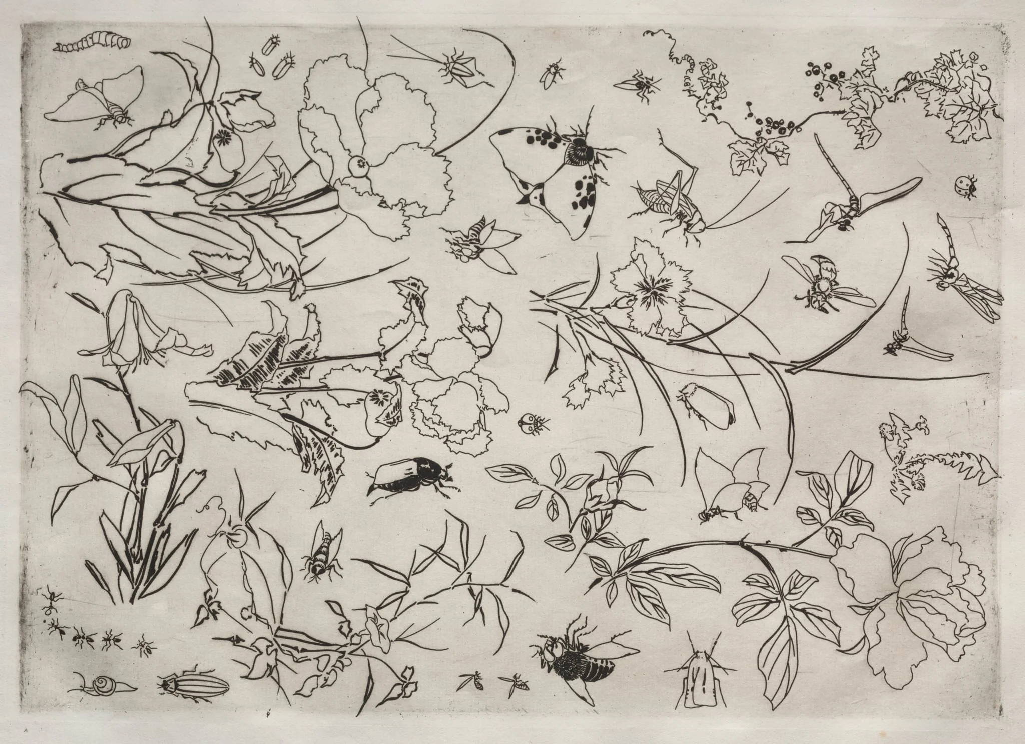 Dinner Service (Rousseau service): Flowers and Insects (no. 15), detail