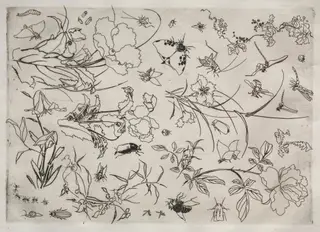 Dinner Service (Rousseau service): Flowers and Insects (no. 15), by Félix Bracquemond, 1866
