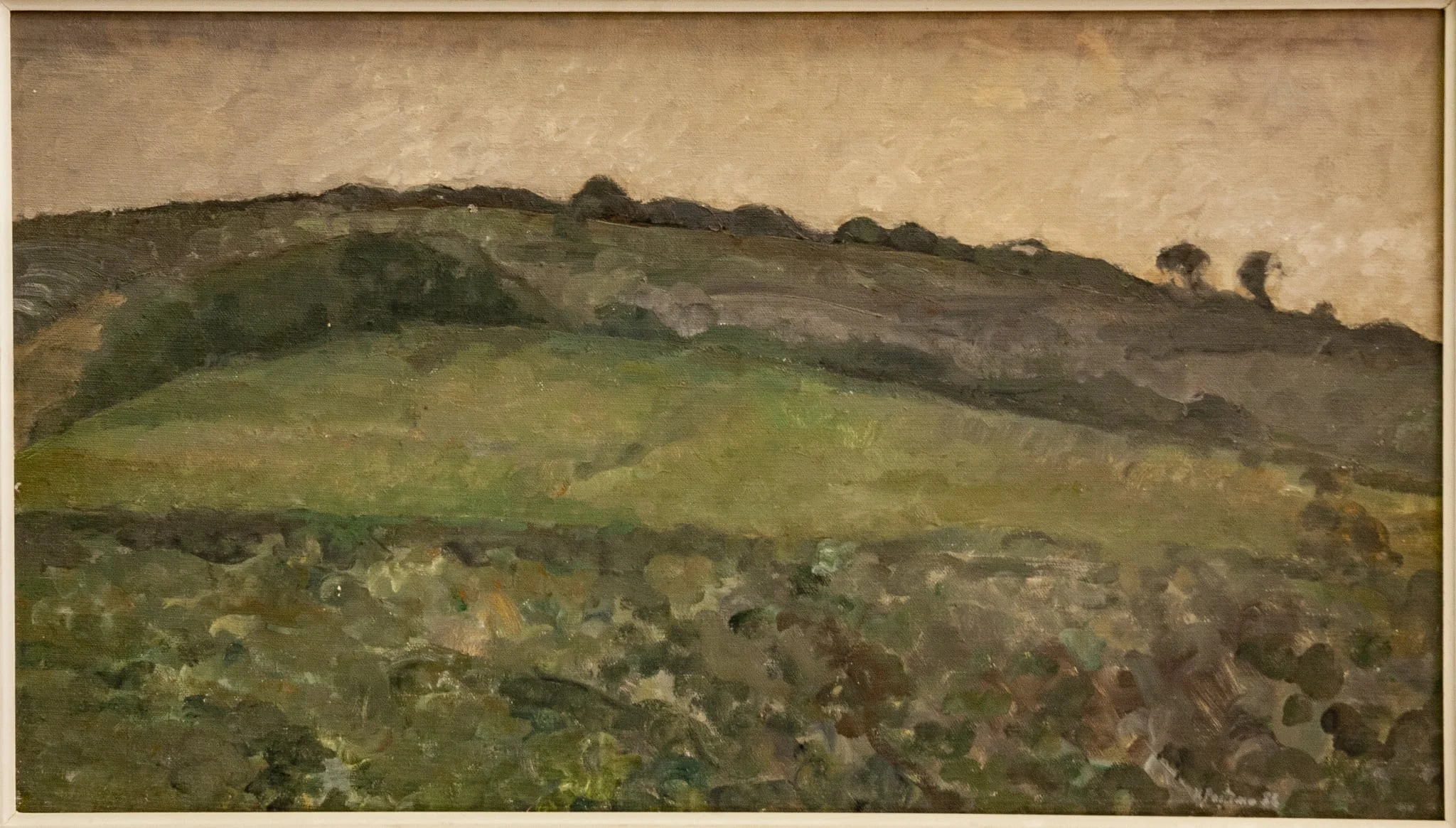 Amurg, detail