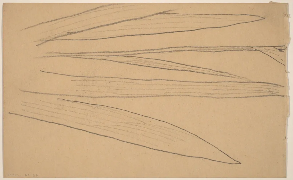 Study of a Flower [verso], by Charles Sprague Pearce, graphite, 1894