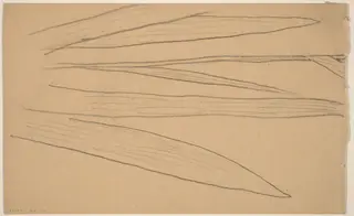 Study of a Flower [verso], by Charles Sprague Pearce, graphite, 1894