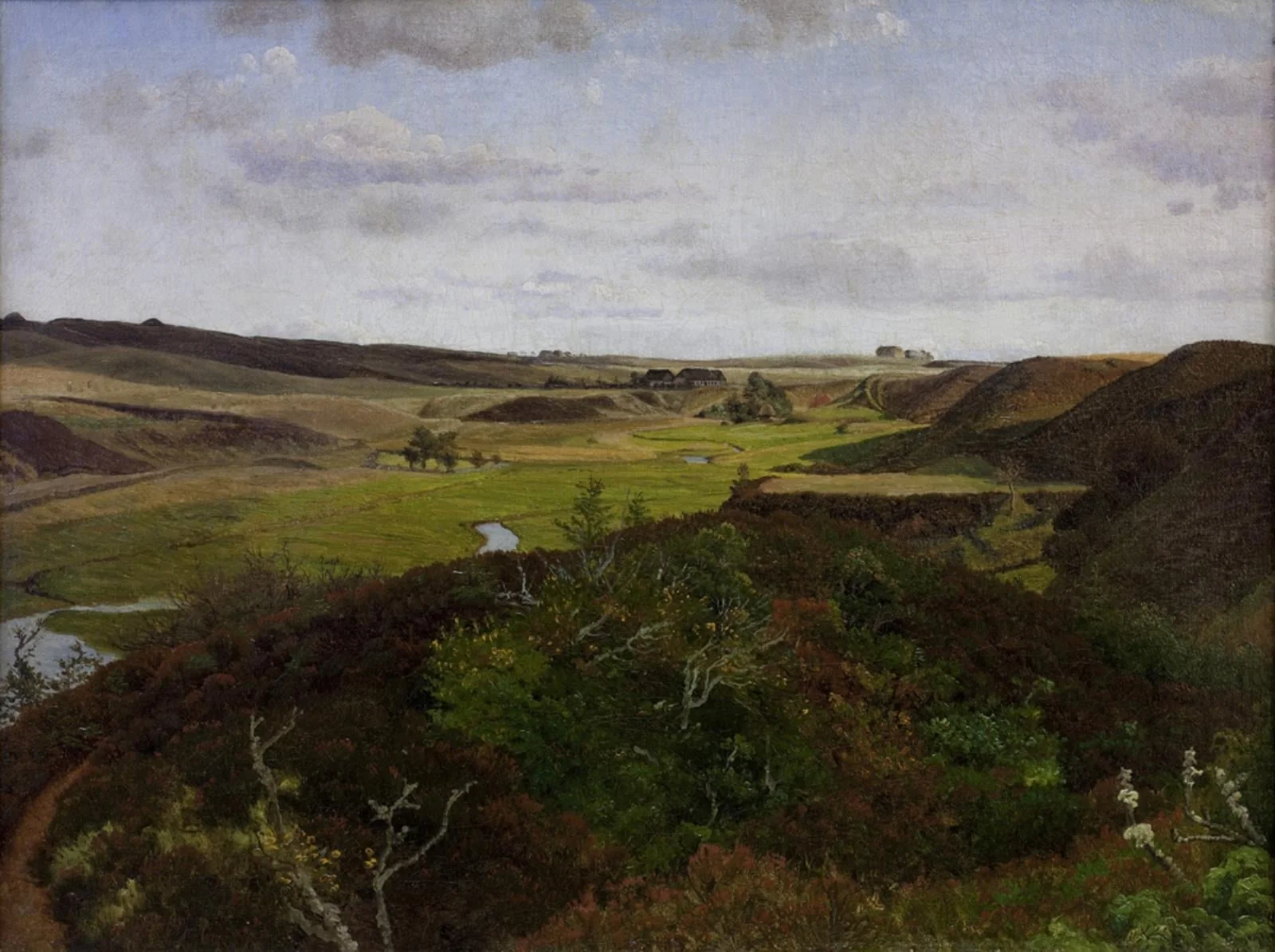 Dollerup Hills near Hald, detail