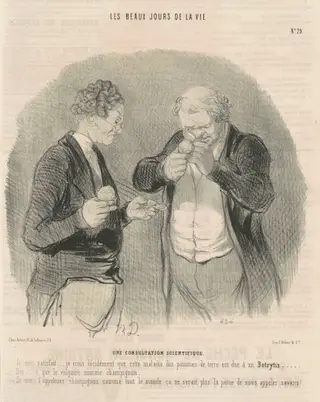 Une consultation scientifique, by Honoré Daumier, ink, 1845