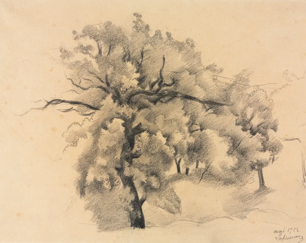 Study of Trees, by Roger de La Fresnaye, 1922