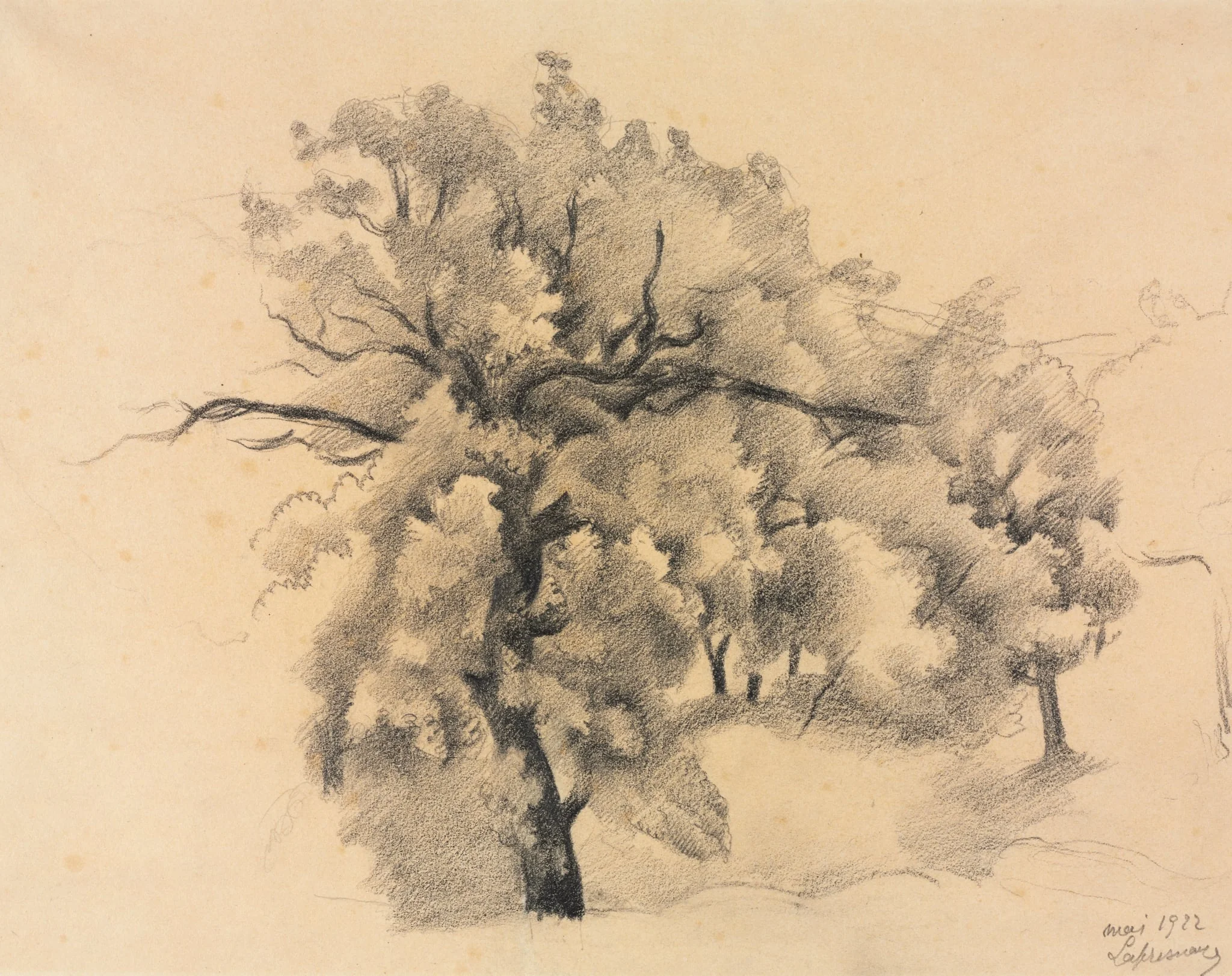 Study of Trees, detail