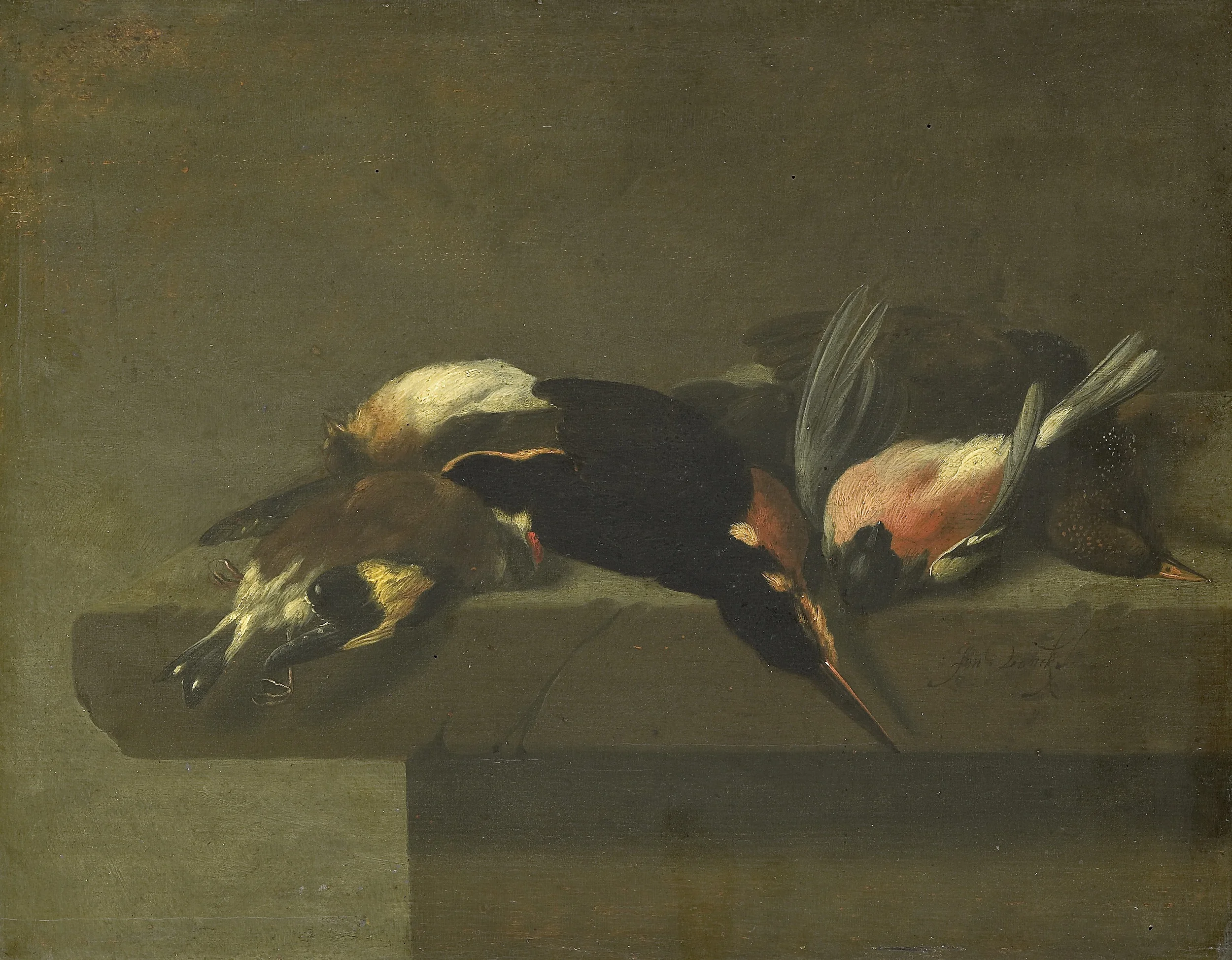 Dead birds, detail