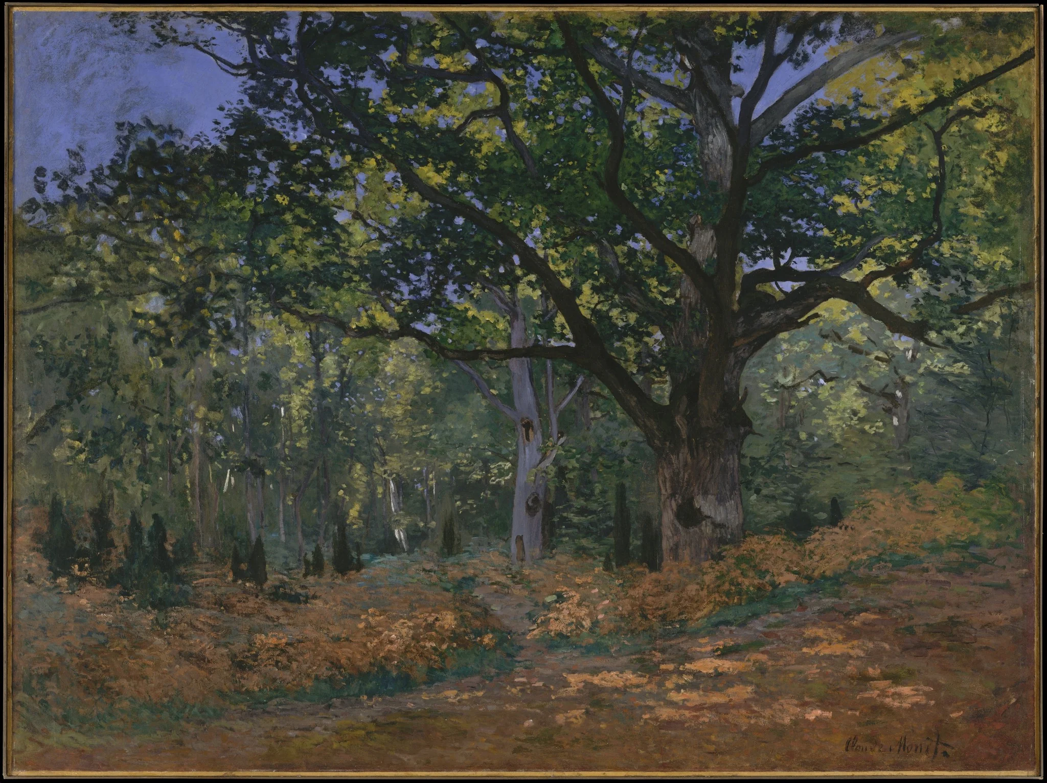 The Bodmer Oak, Fontainebleau Forest, detail