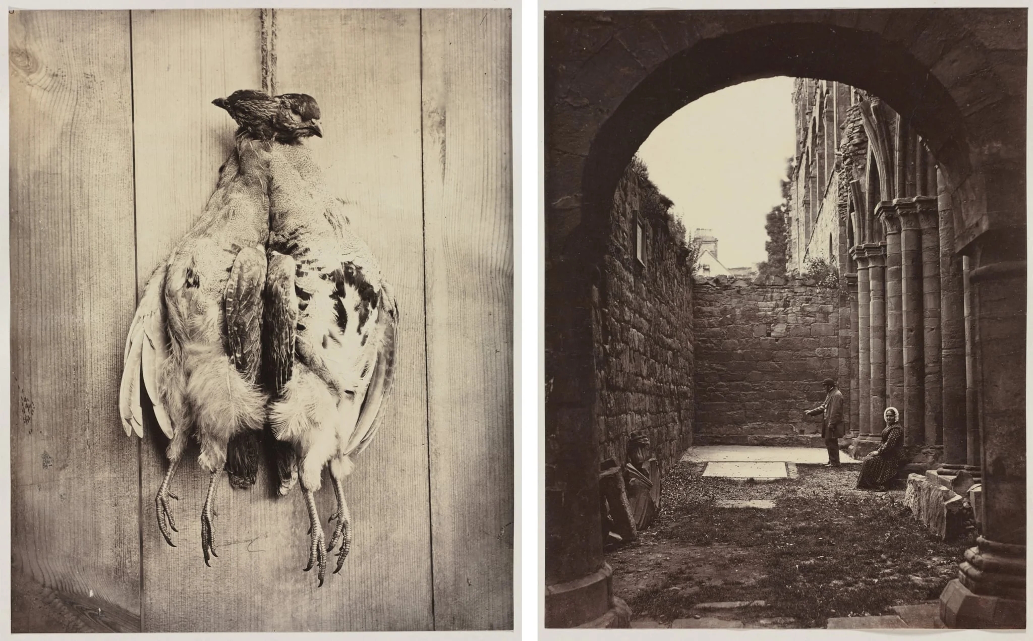 Partridges (recto); L.D. Campbell's Tomb (verso), detail