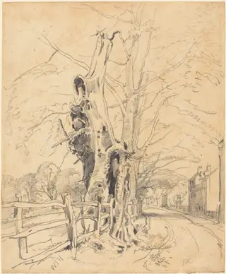 Trees by a Rail Fence, by John Frederick Kensett, graphite, 1854