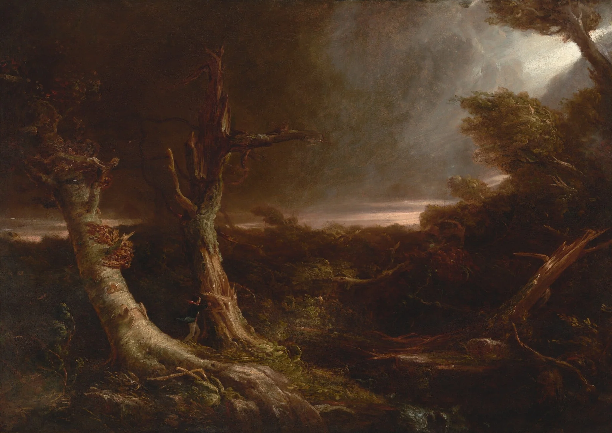 Tornado in an American Forest, detail