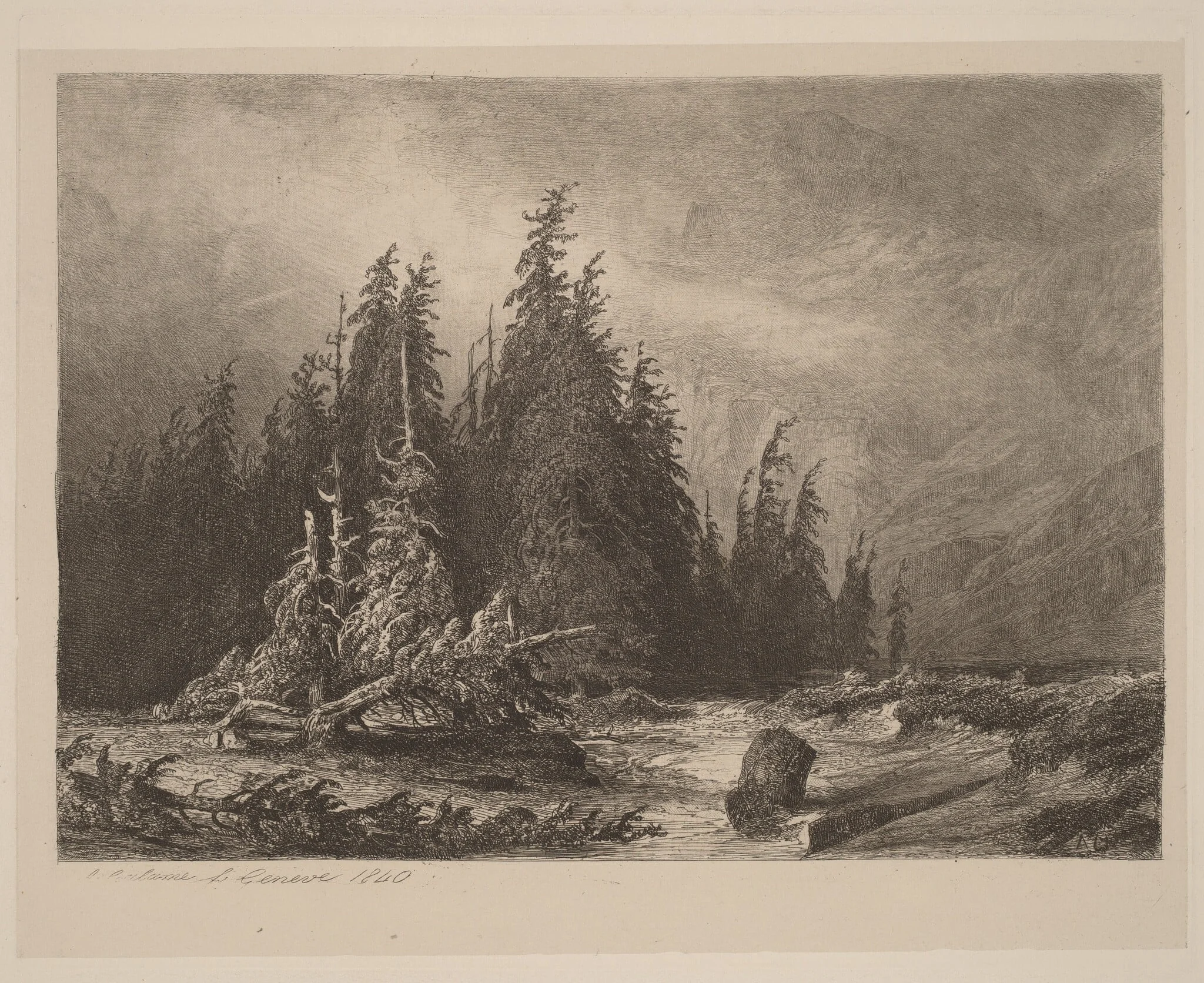 Mountain PInes, detail