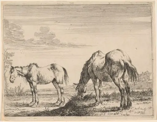 Two Grazing Horses, by Dirck Stoop, ink, 1651