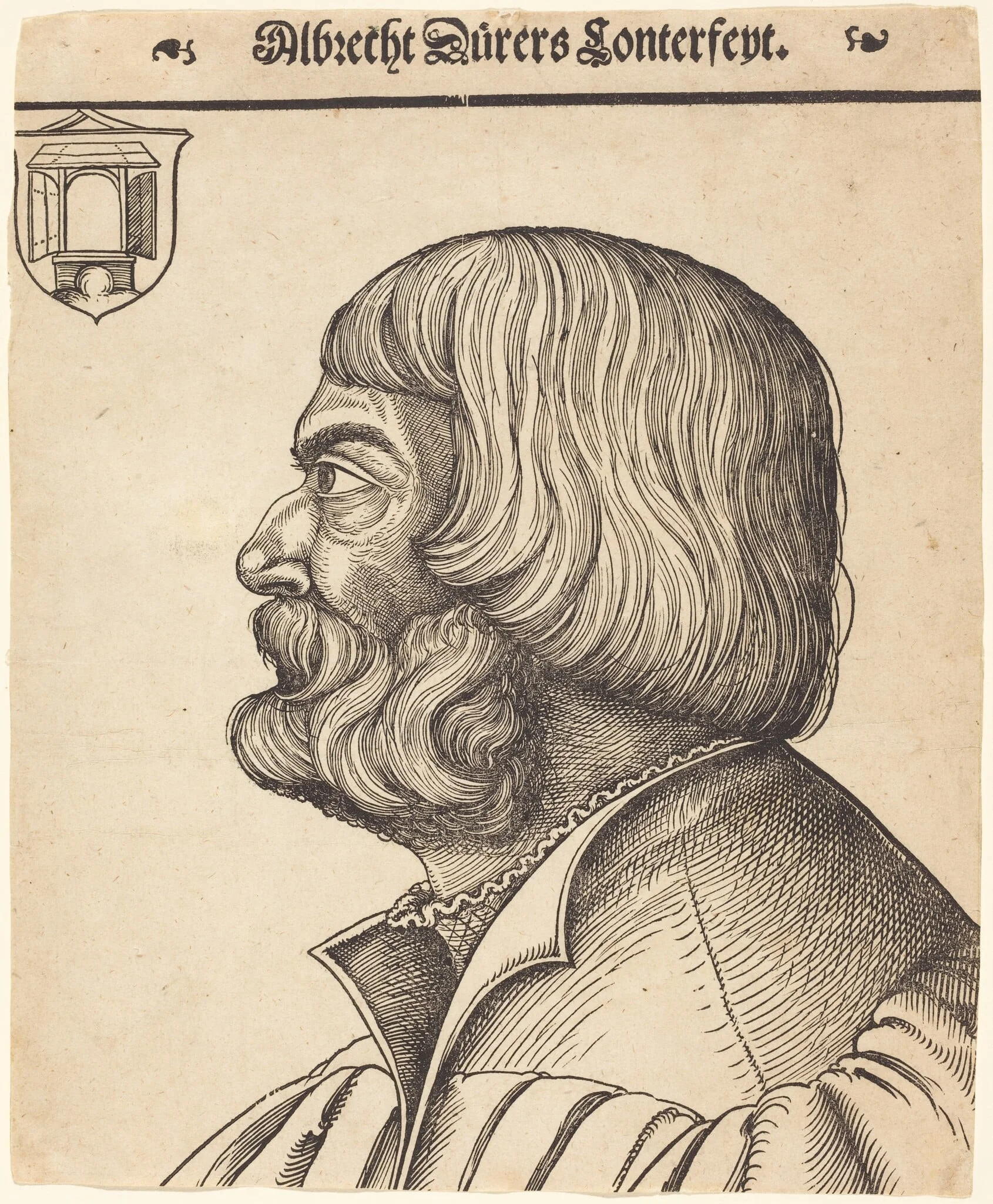 Albrecht Dürer at Age Fifty-Six, detail