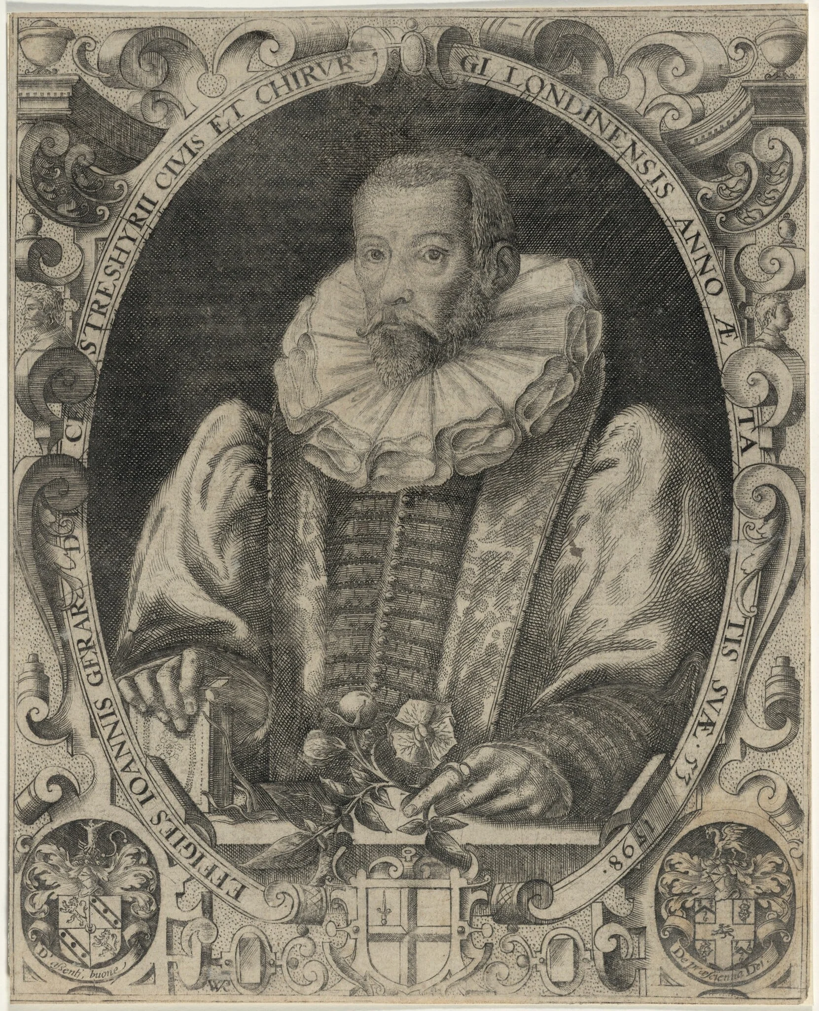 John Gerard, Herbalist, detail