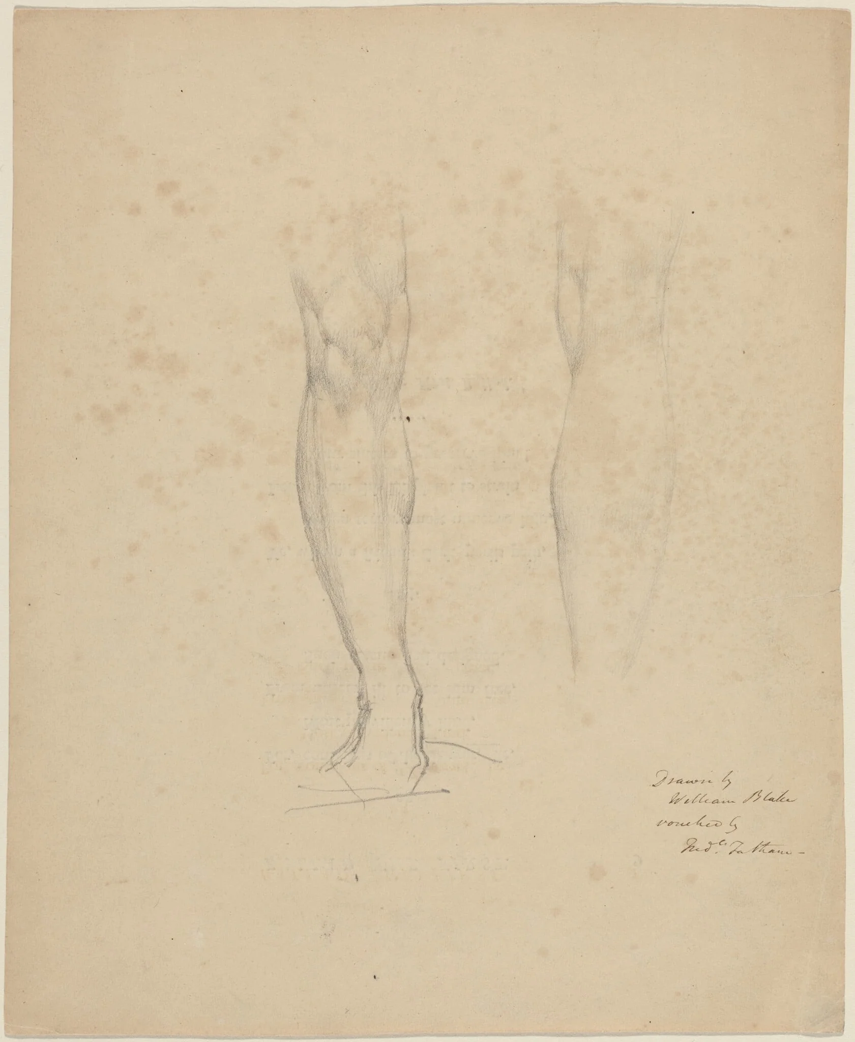 Two Legs, detail