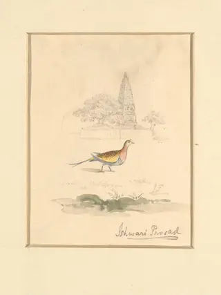 Bird and Temple, by Ishwari Prasad, paint, 1940