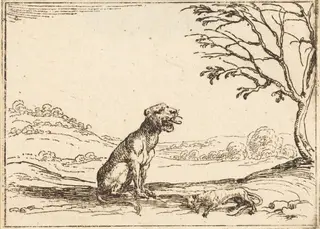 Lioness Mourning her Cub, by Jacques Callot, ink, 1628