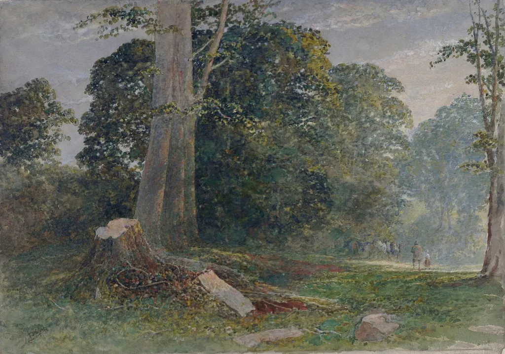 Knole Park, near Sevenoaks, Kent: Evening, by Dodgson, watercolor, 1876