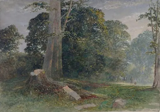 Knole Park, near Sevenoaks, Kent: Evening, by Dodgson, watercolor, 1876