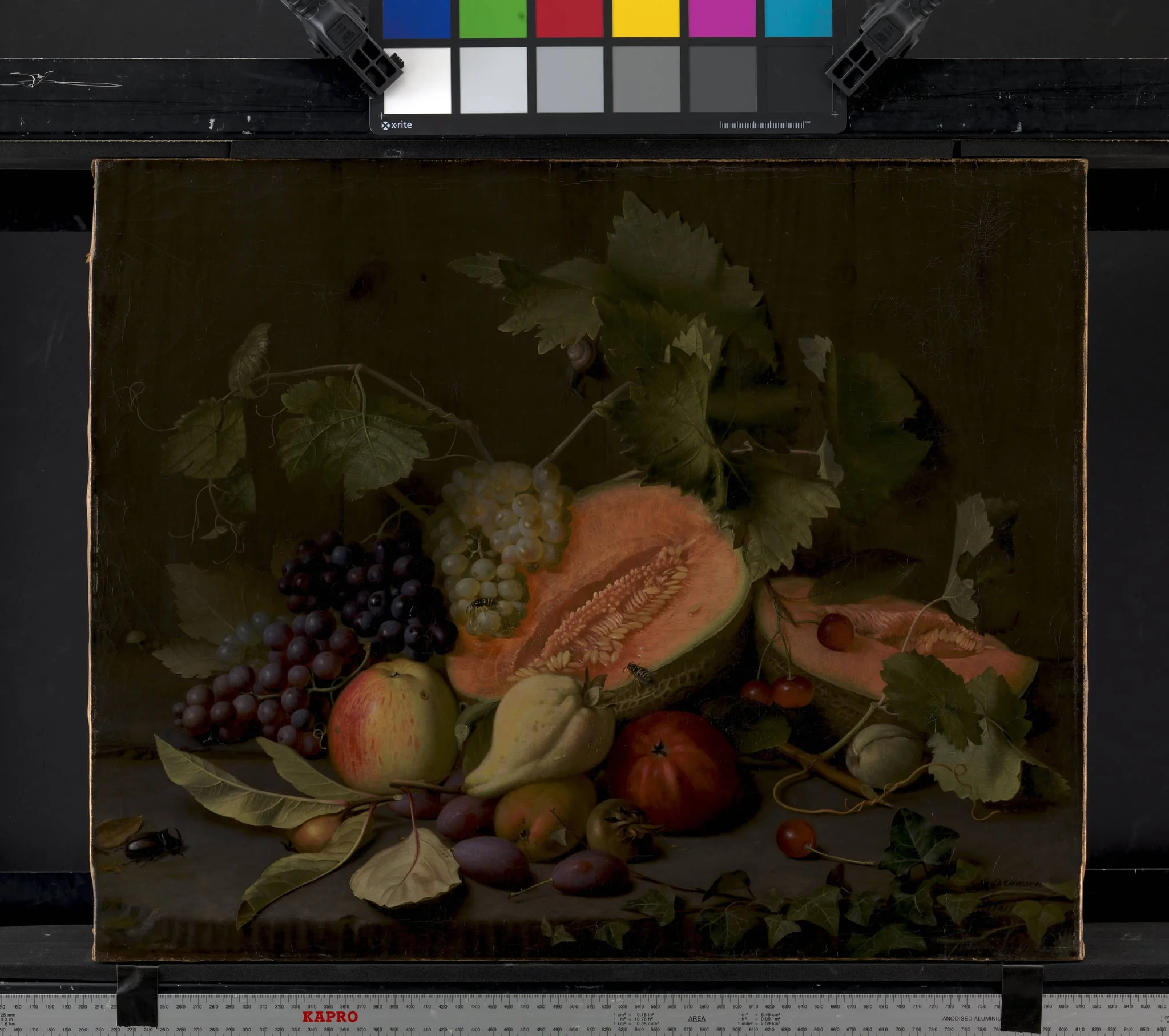 Still Life with Melons and Grapes, detail