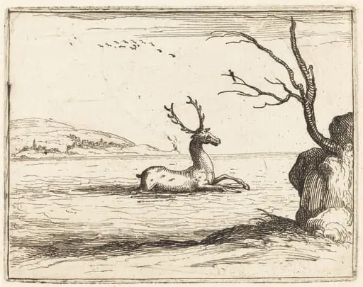 Stag in the Water, by Jacques Callot, ink, 1628