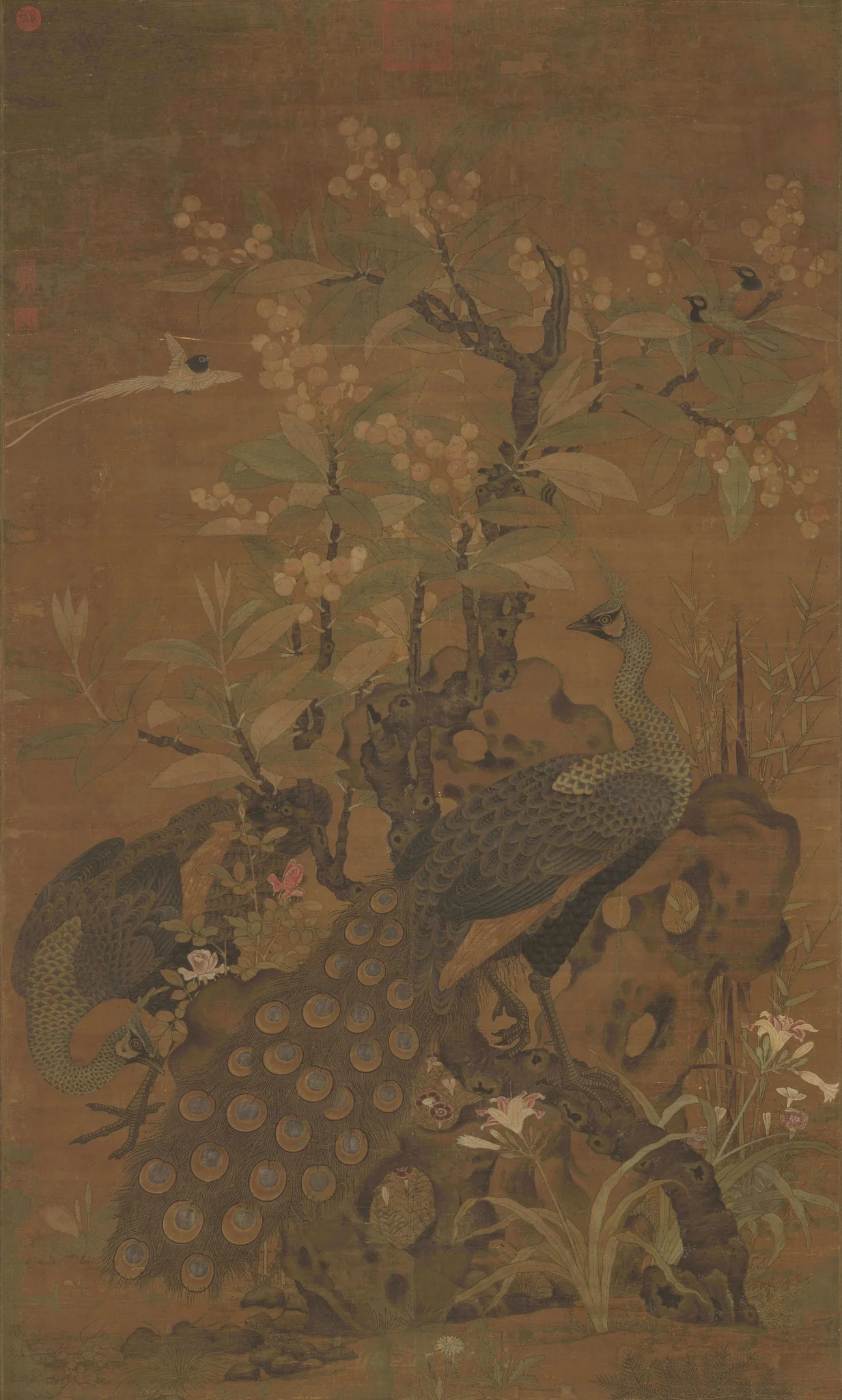 Peacocks and a Loquat Tree, detail