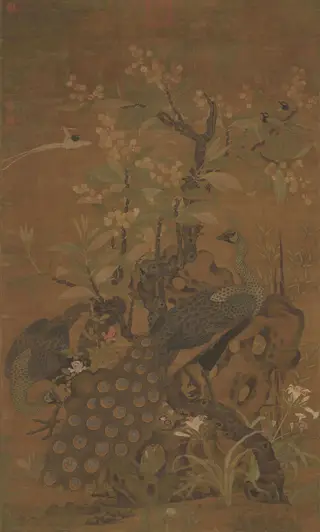 Peacocks and a Loquat Tree, by Cui Bai, unspecified, 1050