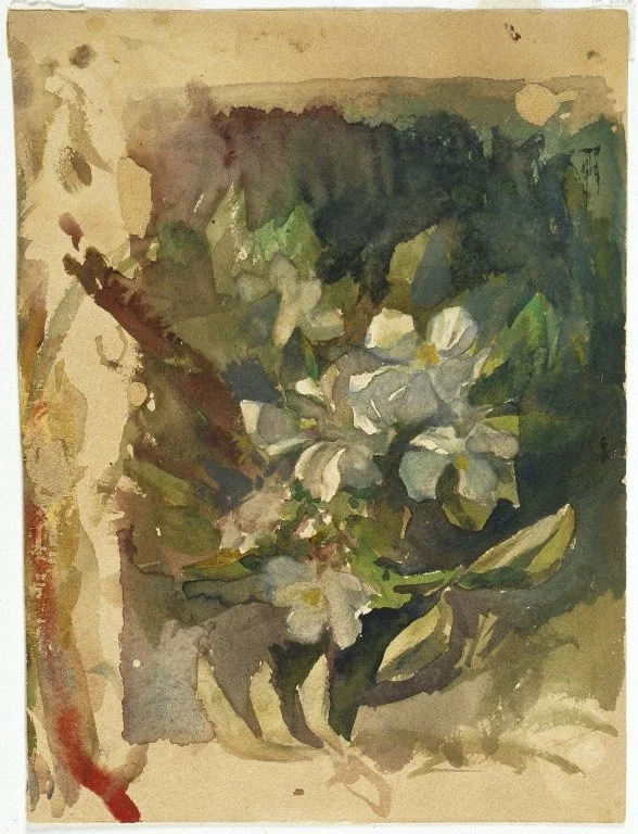 Apple Blossoms in Sunlight, detail