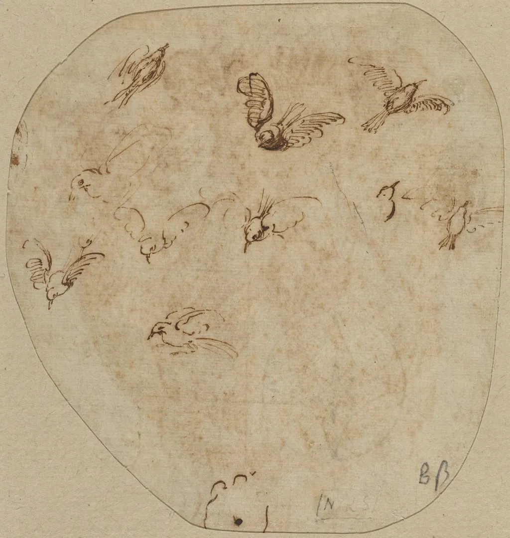 Birds in Flight [verso], by Girolamo Mazzola Bedoli, ink, 1534
