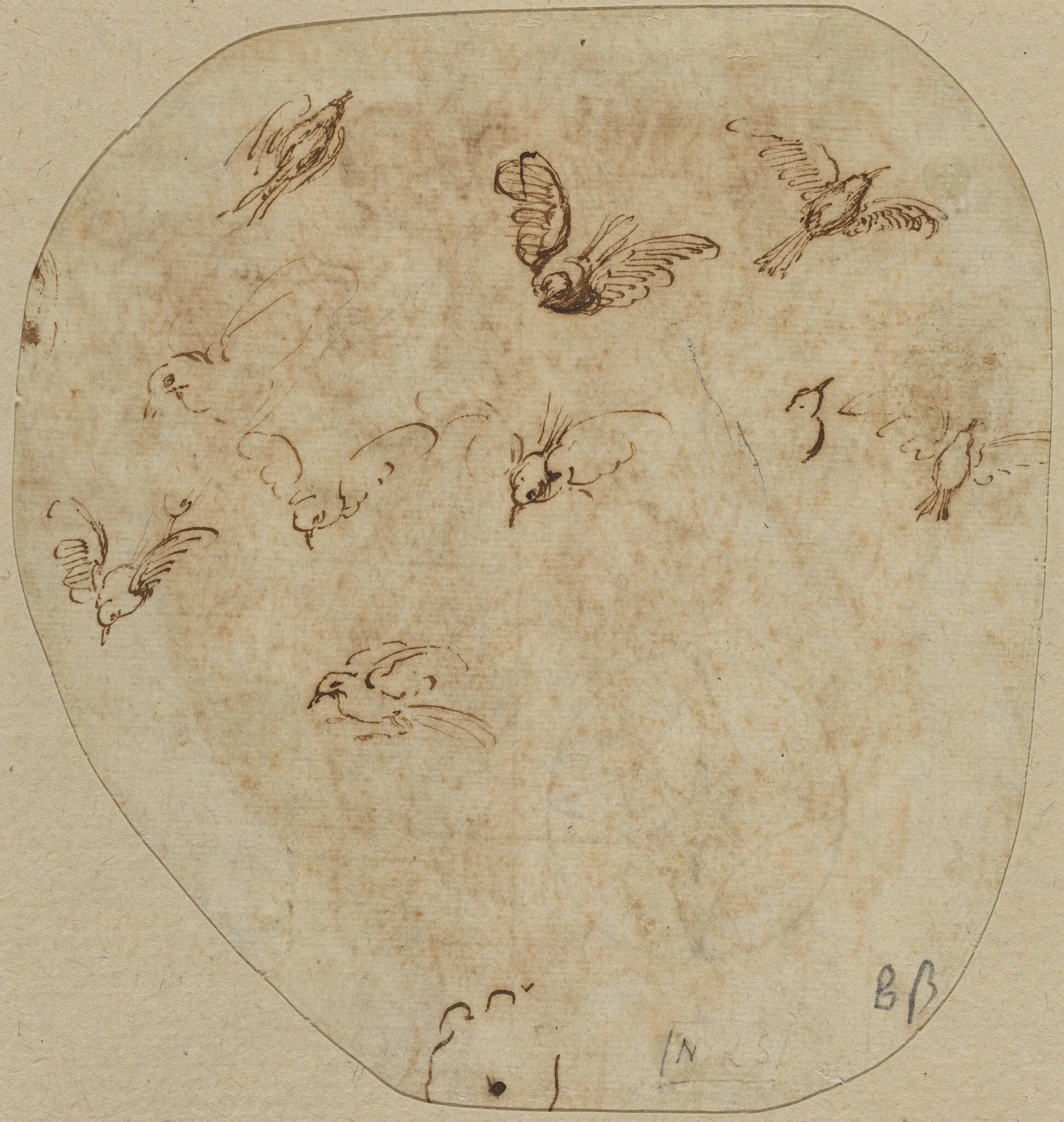Birds in Flight [verso], detail