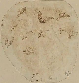 Birds in Flight [verso], by Girolamo Mazzola Bedoli, ink, 1534