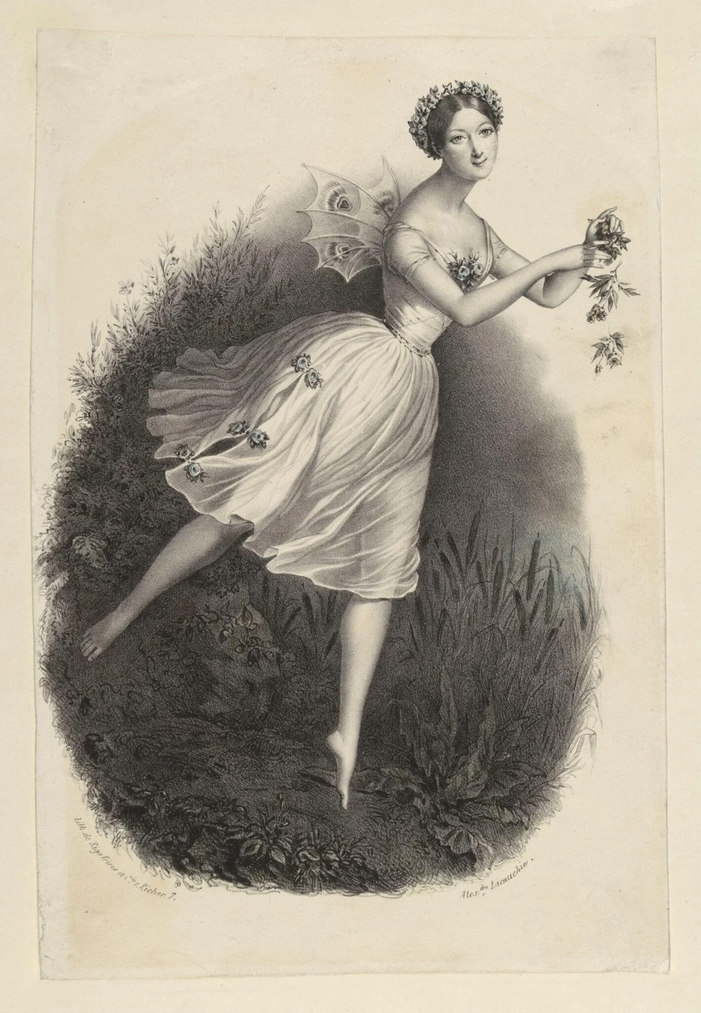Print Collection, detail