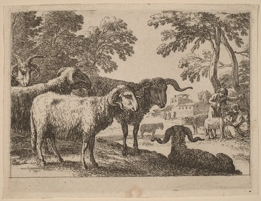 Rams, by Herman van Swanevelt, ink, 1628