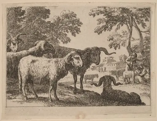 Rams, by Herman van Swanevelt, ink, 1628