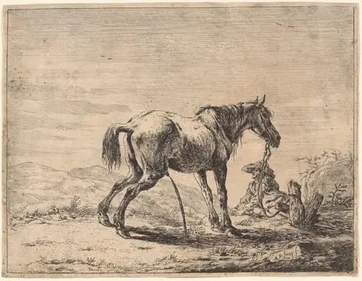 A Pissing Horse Bound to a Post, by Dirck Stoop, ink, 1651