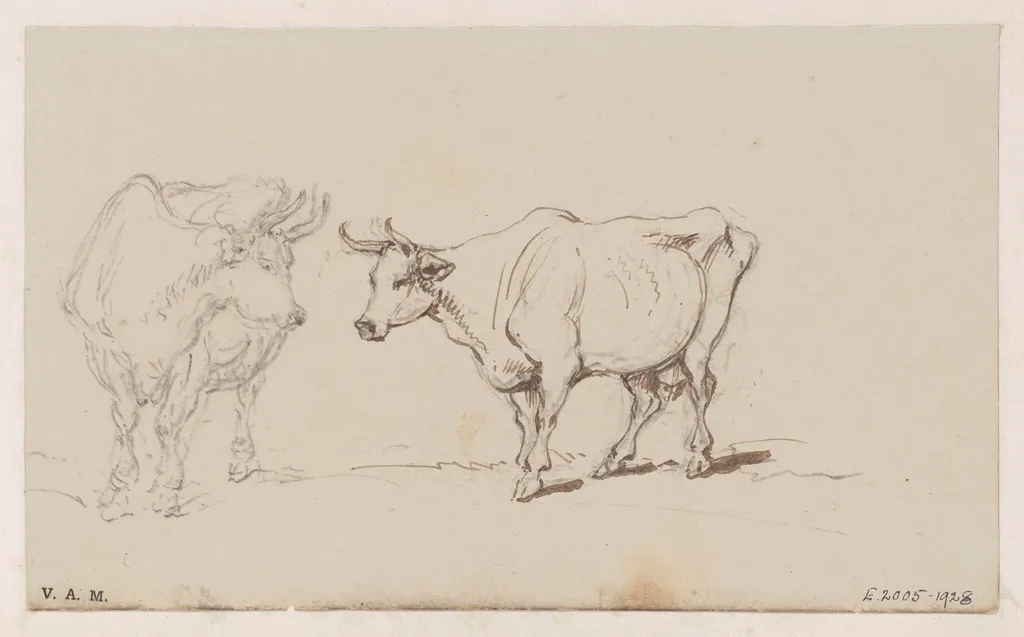 Two drawings of a cow, by George Chinnery, 19