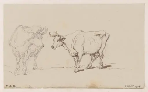 Two drawings of a cow, by George Chinnery, 19