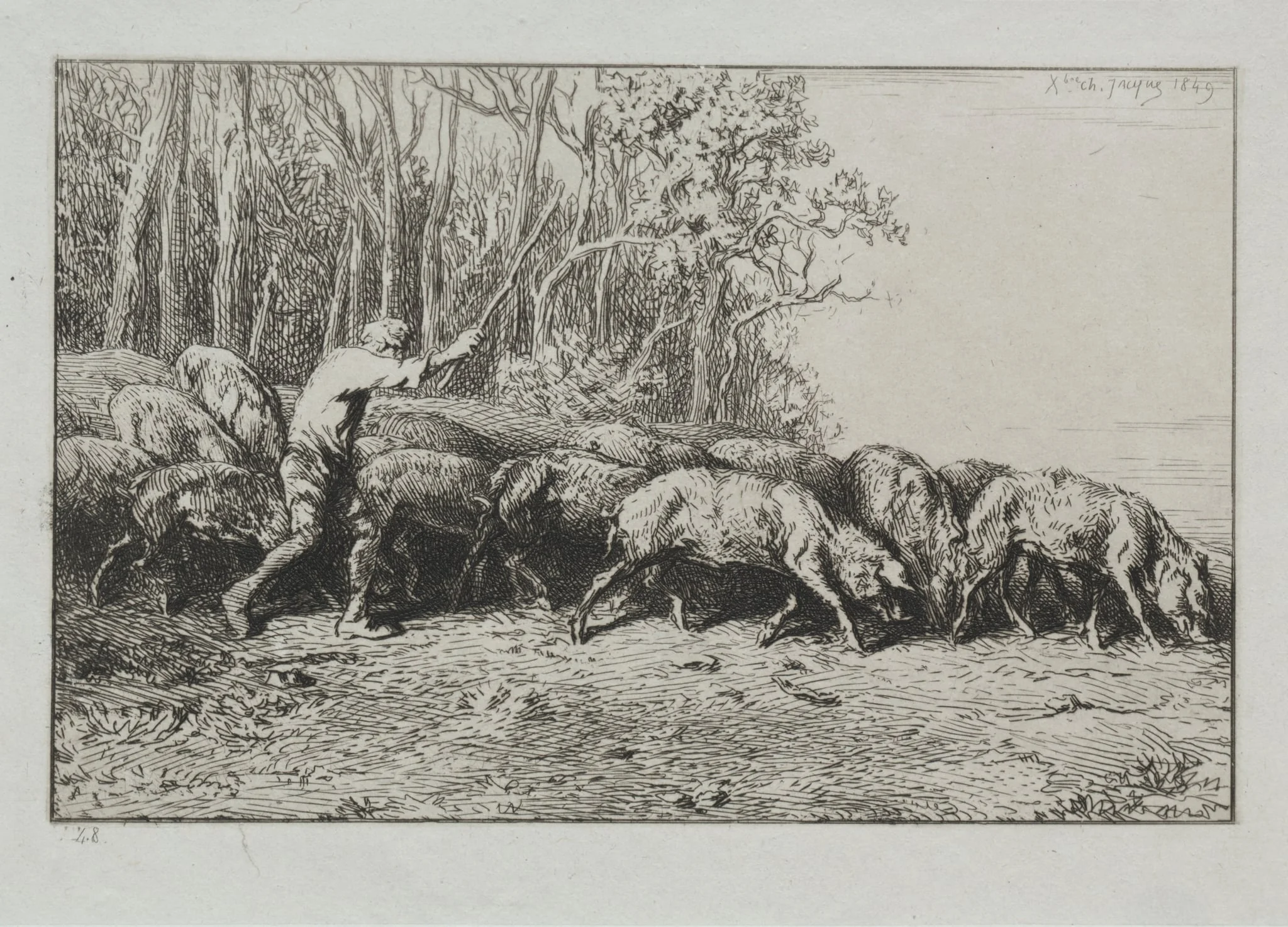 Herd of Pigs Leaving a Forest, detail
