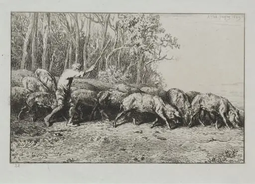 Herd of Pigs Leaving a Forest, by Charles Jacque, 1849