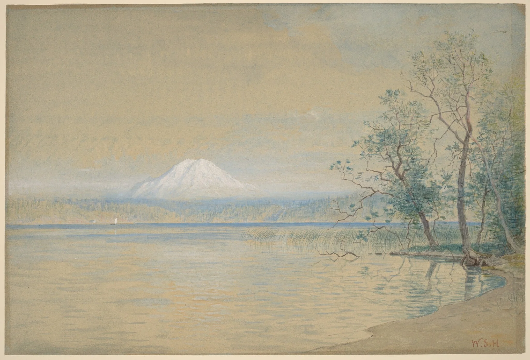 Mount Tacoma, detail