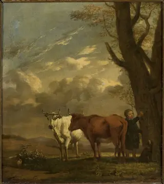 Cowherd, by Karel Dujardin, oil, 1650