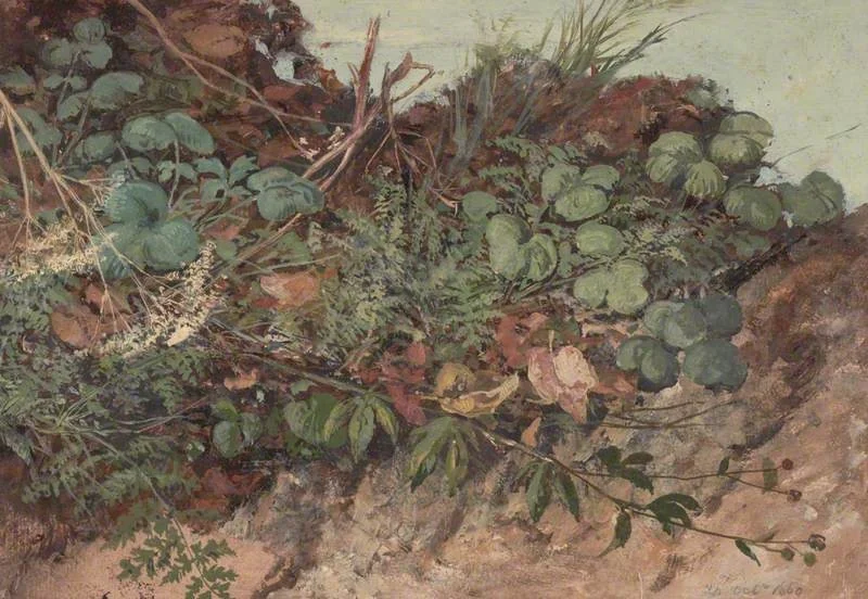 Study of Undergrowth, detail