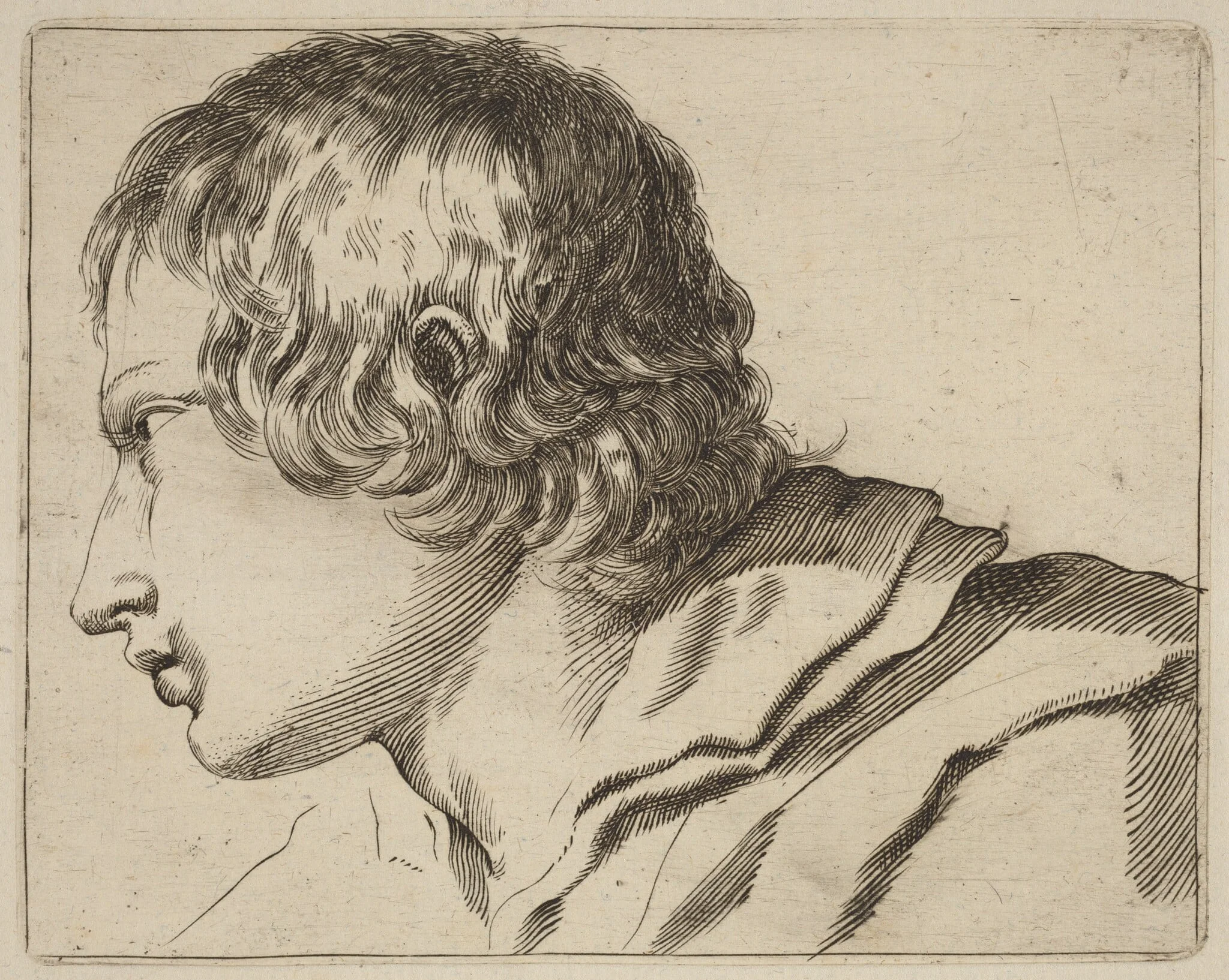 Head of a Man Turned Left, detail