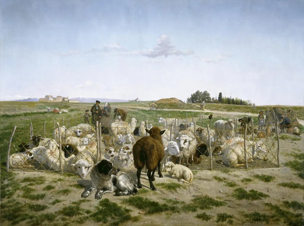 Un redil de ovejas extramuros de la puerta de Bilbao de Madrid, by Mariano de la Roca y Delgado, oil, 1862