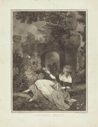L'Oiseau privé, by Philibert-Louis Debucourt, ink, 1795